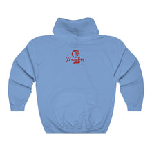 Load image into Gallery viewer, Nina Hooded Sweatshirt