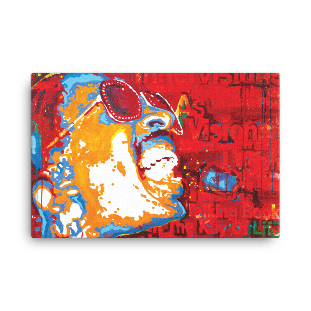 STEVIE Canvas Print